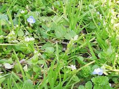 -艾溪湖湿地公园