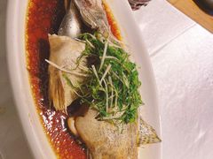 -梧桐餐厅(泉城路店)