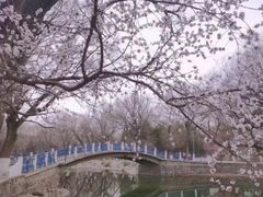 -满都海公园