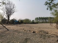 -东郊湿地公园