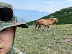 -灵山