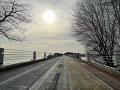 -贡湖湾湿地公园