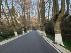 -WeLope紫金山探险公园