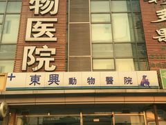 android_upload_pic-宠颐生东兴动物医院(大悦城店)