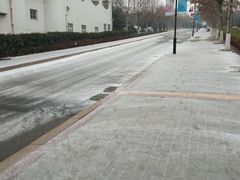 -山东外贸职业学院