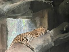 -长鹿旅游休博园