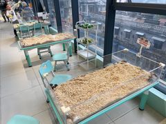 -怪兽屋·羊驼·猫咖·狗咖(俊华广场店)