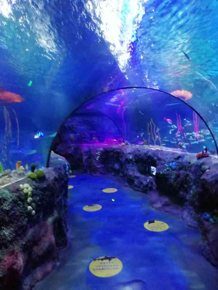 沈阳海洋探索中心-"在 k11里,去着方便,地方虽然不算大.