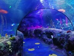 -沈阳海洋探索中心