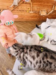 -萌宠亲子动物乐园(槐房万达店)