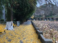 -四川大学(华西校区)