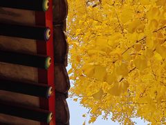 -承恩寺