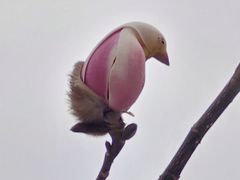 -盛世南宫影视城(北普陀影视城)