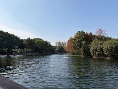 -荔湾湖公园