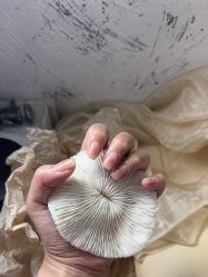 -Hands Nail专业美甲美睫