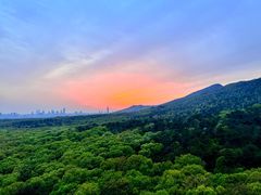 -灵谷景区