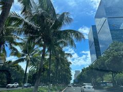 -海口骑楼老街历史文化街区