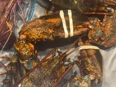-渔傅·霞浦滩涂海鲜(建平店)