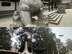 -兴教寺