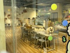 -听TA说宠咖·宠物生活馆(天韵水岸店)