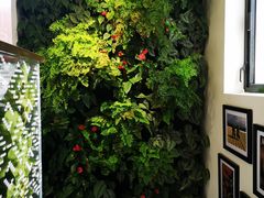 -Peet's Coffee皮爷咖啡(大学路店)