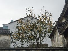 -前童古镇