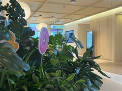 -观心实验室·心理咨询(上海旗舰店)