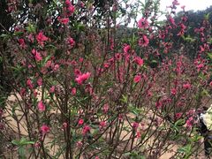 -水濂山森林公园