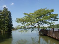-海珠湖公园