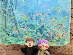 -杭州开元森泊度假乐园