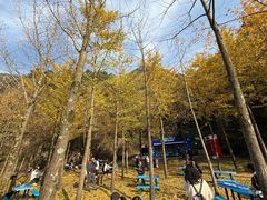 -秦岭终南山世界地质公园翠华山景区