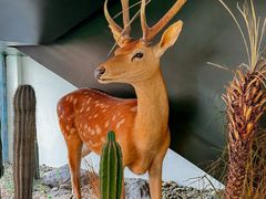 -中国天府农业博览园