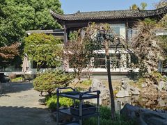 -日出青木