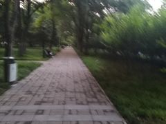 -玲珑塔公园