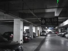 -山东大学齐鲁医院(青岛院区)