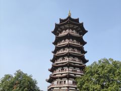 -洋湖国家湿地公园