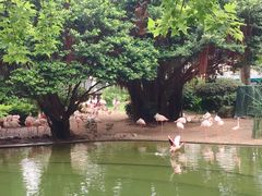 景点-九龙公园