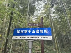 -莫干山风景区