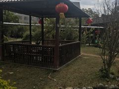 -朝伟清真铜瓢牛肉馆(三十年老·店)