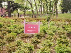 -丰台花园