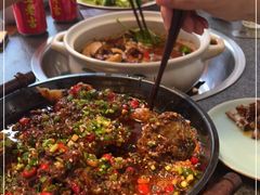 -先机泉水鸡汤(南山老君洞店)