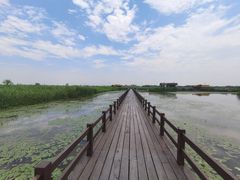 -宁波杭州湾国家湿地公园