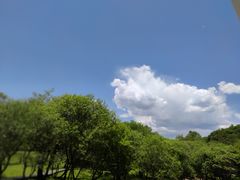-大水川景区