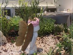 -春树下·树屋花房西餐厅(罍街AS1980店)