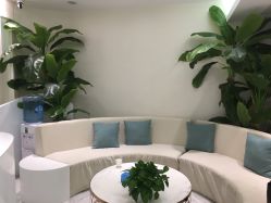 -健身堂科技美肌SPA