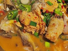 -全乐鱼馆·淳牌有机鱼直营店