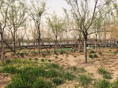 -东郊湿地公园