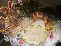 -宝燕壹号(徐汇店)