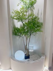 -VE专注问题肌·赛诺龙&科学美肤中心