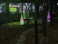 -Salud撒露欧洲冻酸奶(北苑上品店)